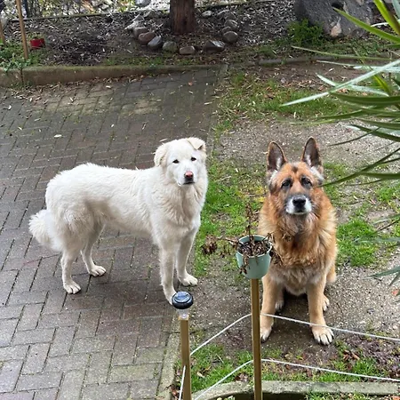 Casa Chiara Lägenhet