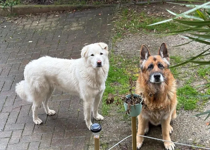 Casa Chiara דירה